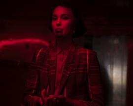 黑人新闻：条款与条件