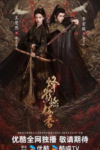 烽影燃梅香 (大宋女刺客)