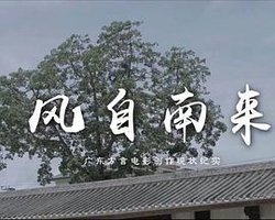 风自南来：广东方言电影创作现状纪实
