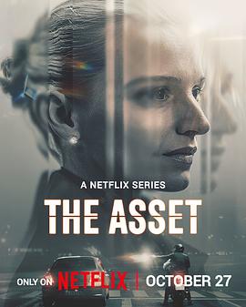 The Asset (暗线谜影)