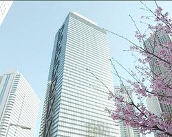 爱恨龙卷风：撕裂的欲望