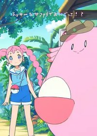 吉利蛋，狩猎区和捉迷藏！？