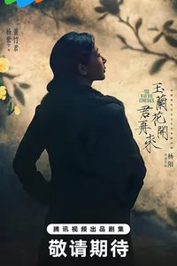 玉兰花开君再来