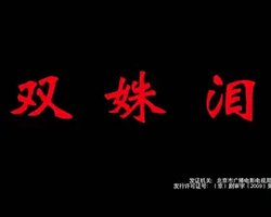 双殊泪