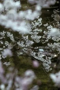 冬