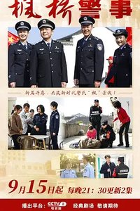 枫桥派出所的故事