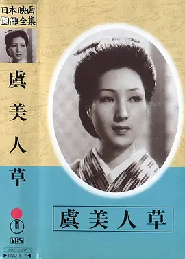 虞美人草