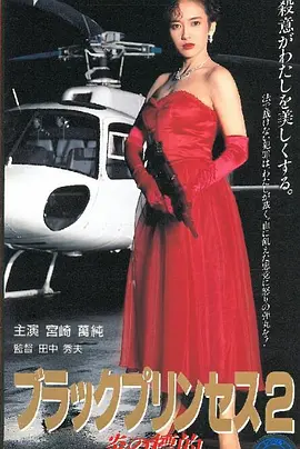 黑色公主2：火焰的目标