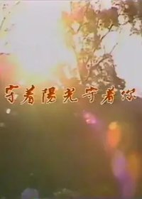 守着阳光守着你