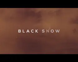 黑雪，重度污染的极寒之城
