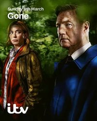 Gone (消失的妻子)