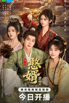 贤婿2之憨婿