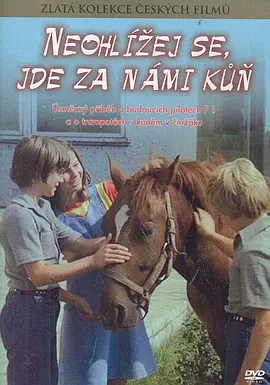 Don't Look Back, There Is a Horse Behind Us