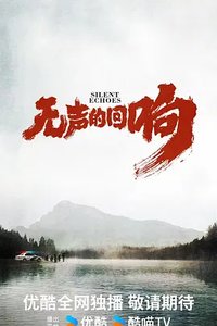 Silent Echoes (无声的回响)