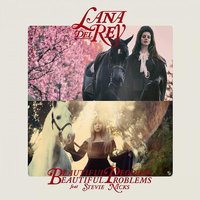 美丽的人们，美丽的问题