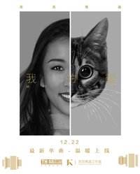 我的猫