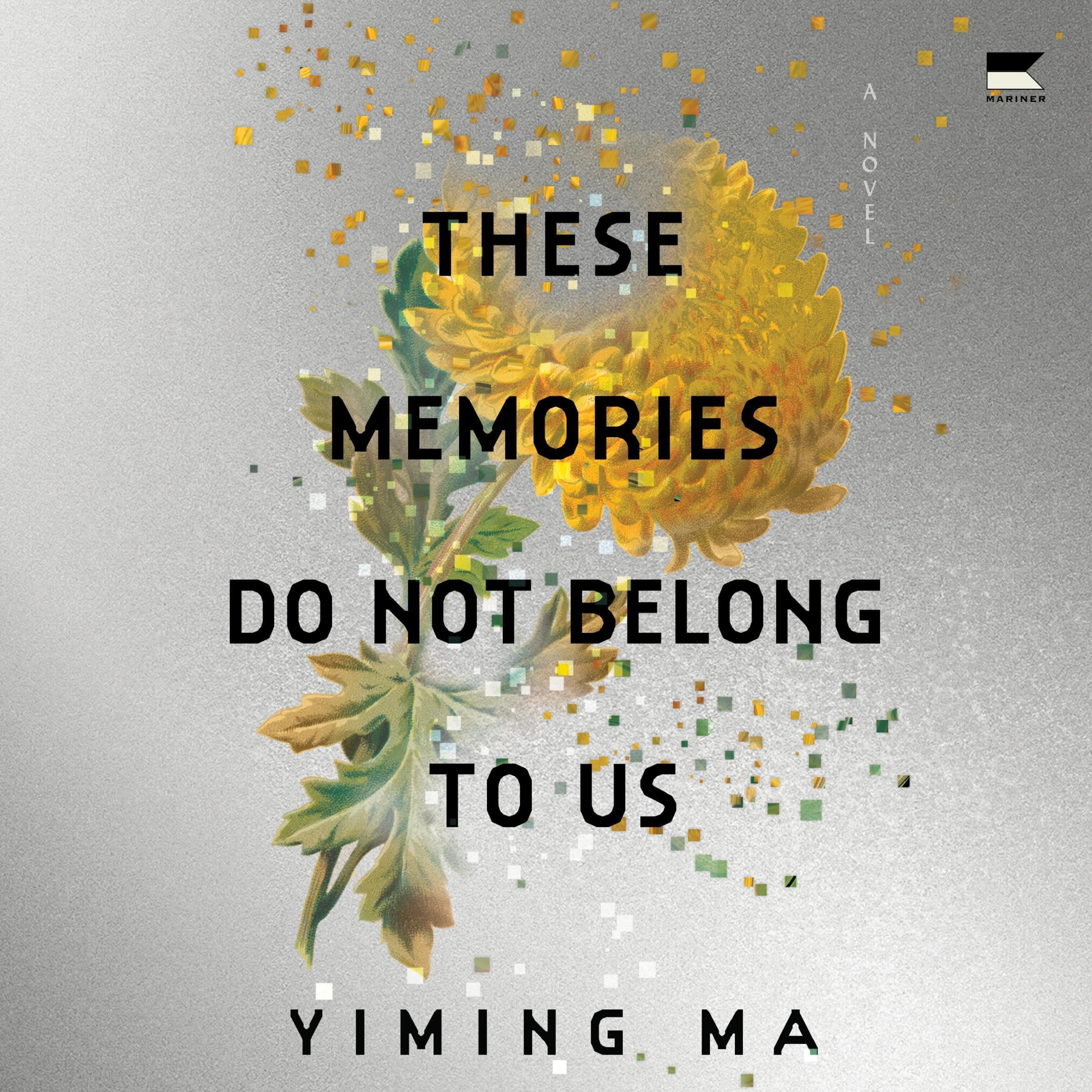 These Memories Do Not Belong to Us: A Constellation Novel