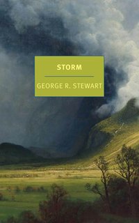 Storm (New York Review of Books 2021)