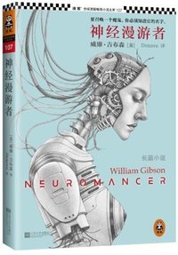 神经漫游者 (江苏文艺出版社 2013)