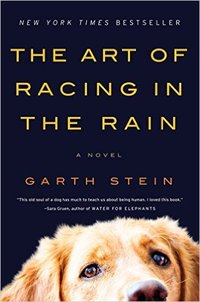 The Art of Racing in the Rain (HarperCollins e-books 2009)