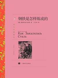 钢铁是怎样炼成的 (上海译文出版社 2011)