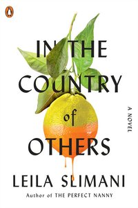 In the Country of Others (Penguin Books 2021)