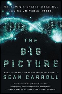 The Big Picture: On the Origins of Life, Meaning, and the Universe Itself ( Penguin Group (USA) LLC 2016)