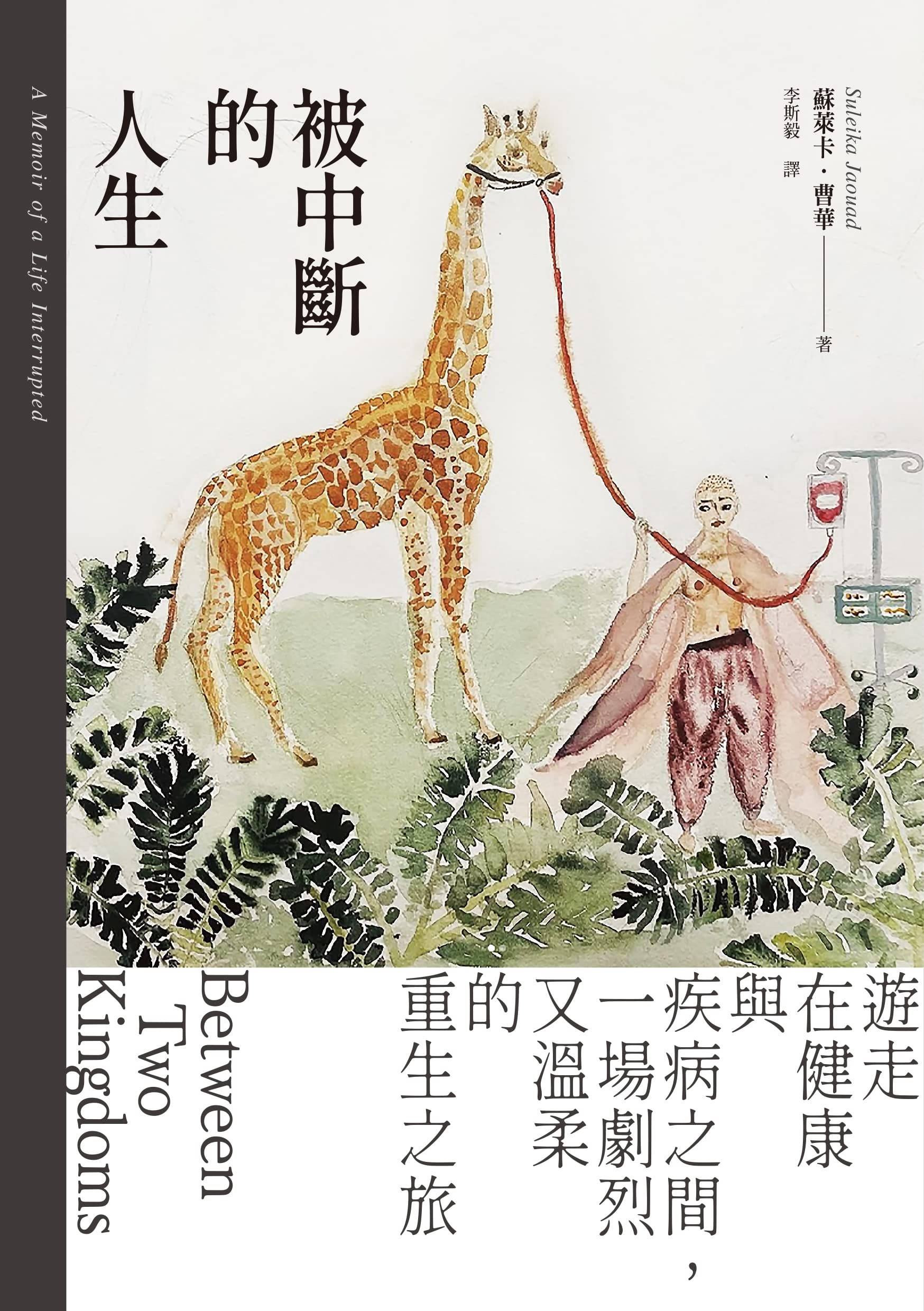 被中斷的人生：遊走在健康與疾病之間，一場劇烈又溫柔的重生之旅