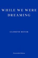 While We Were Dreaming