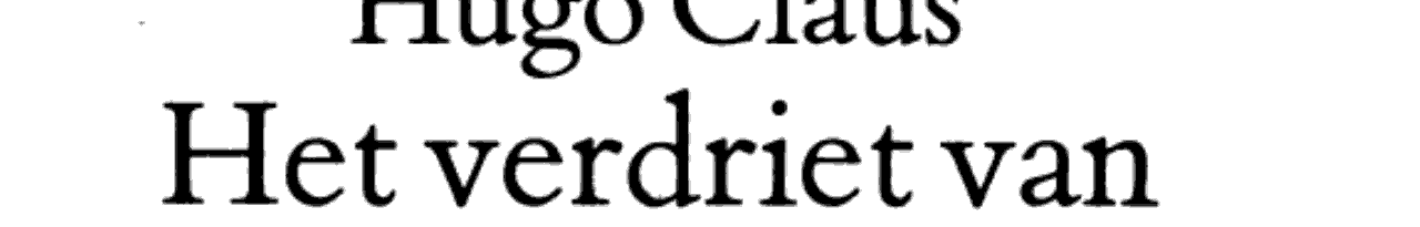 Het verdriet van België