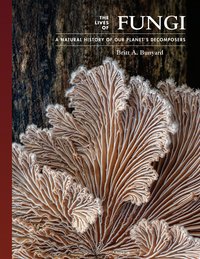 The Lives of Fungi (Princeton University Press 2022)