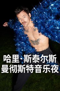 哈里·斯泰尔斯：曼彻斯特音乐夜