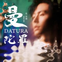 曼陀罗 Datura