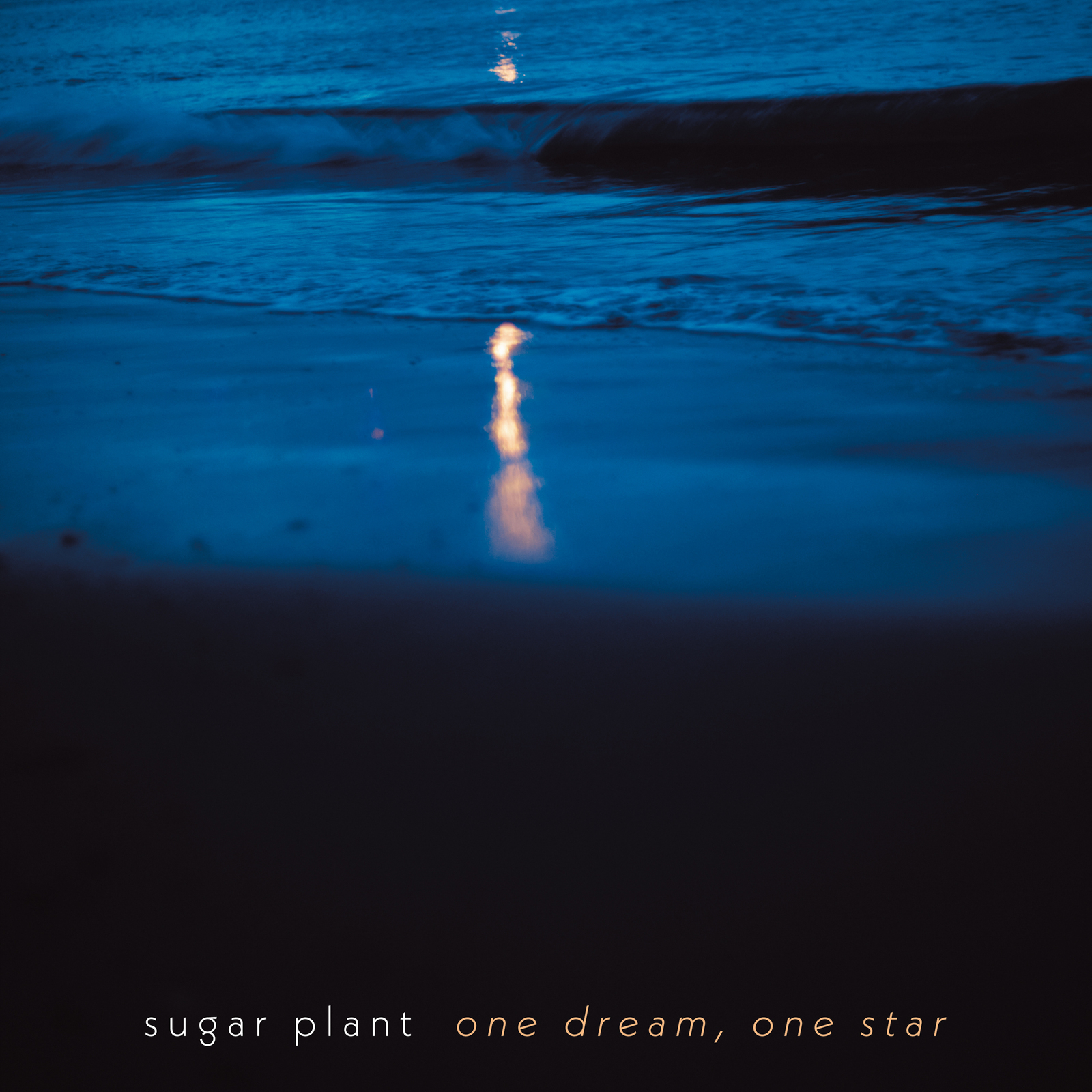 one dream, one star