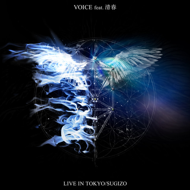 VOICE (from LIVE IN TOKYO)