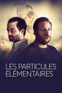 The Elementary Particles