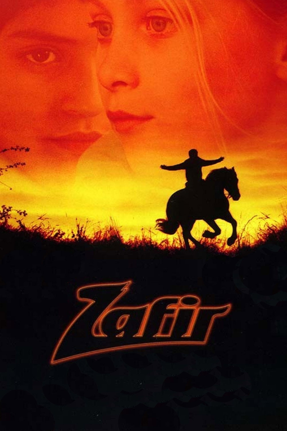 Zafir - Der schwarze Hengst