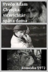 Adam Chvojka vicerichtár