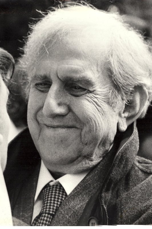 罗多尔福·索内戈