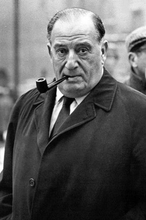 萨姆·斯皮格尔