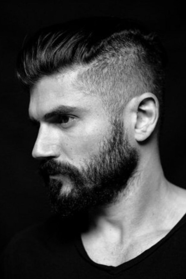 安德鲁·莱维塔斯