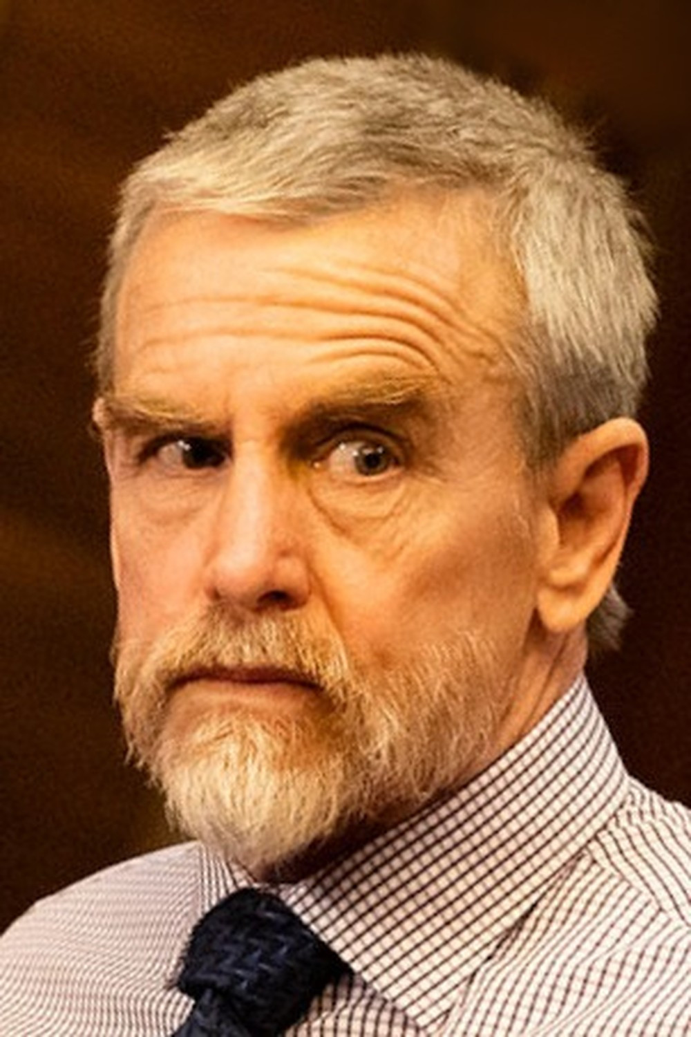 大卫·安德鲁斯