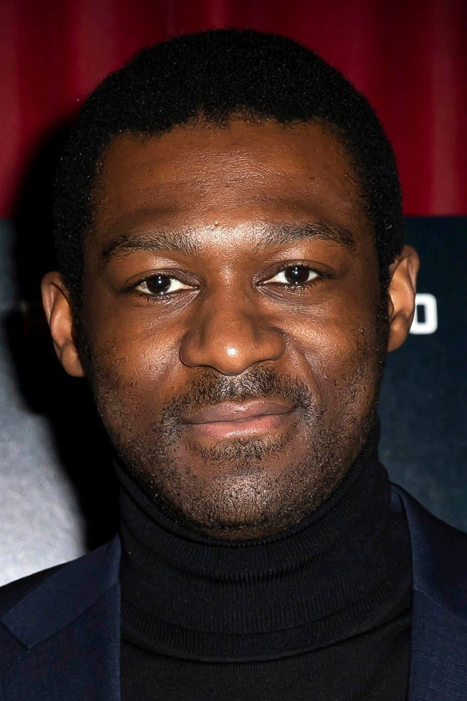 弗朗西斯·安南