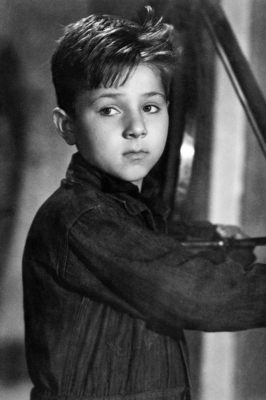 恩佐·斯泰奥拉