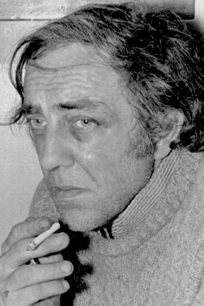 诺曼·韦克斯勒