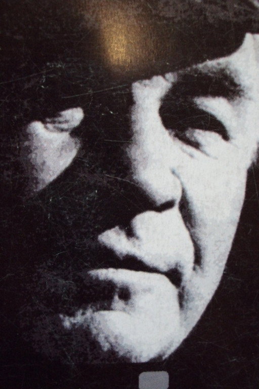 Vasili Reshetnikov