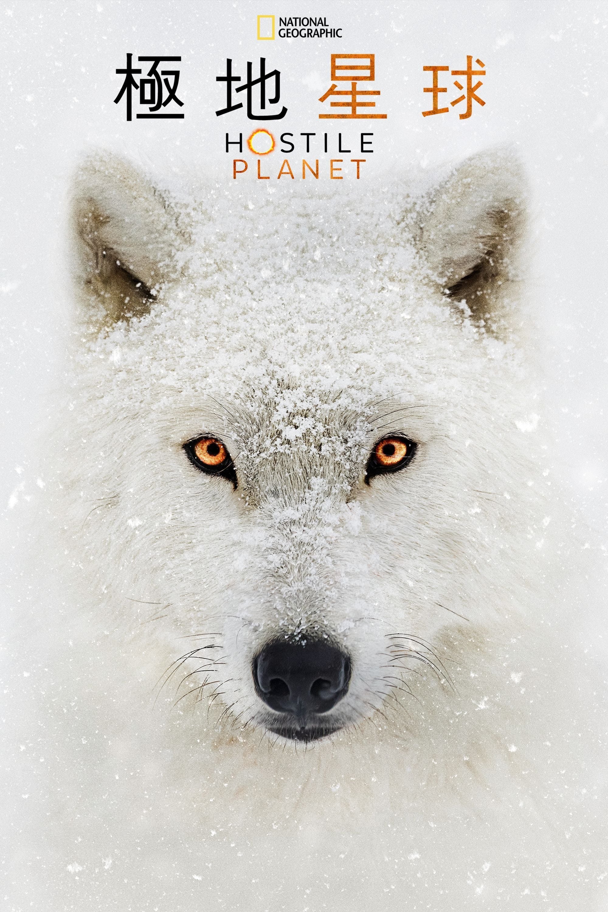 水深火热的星球