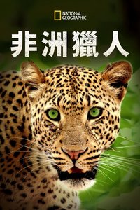 非洲猎手
