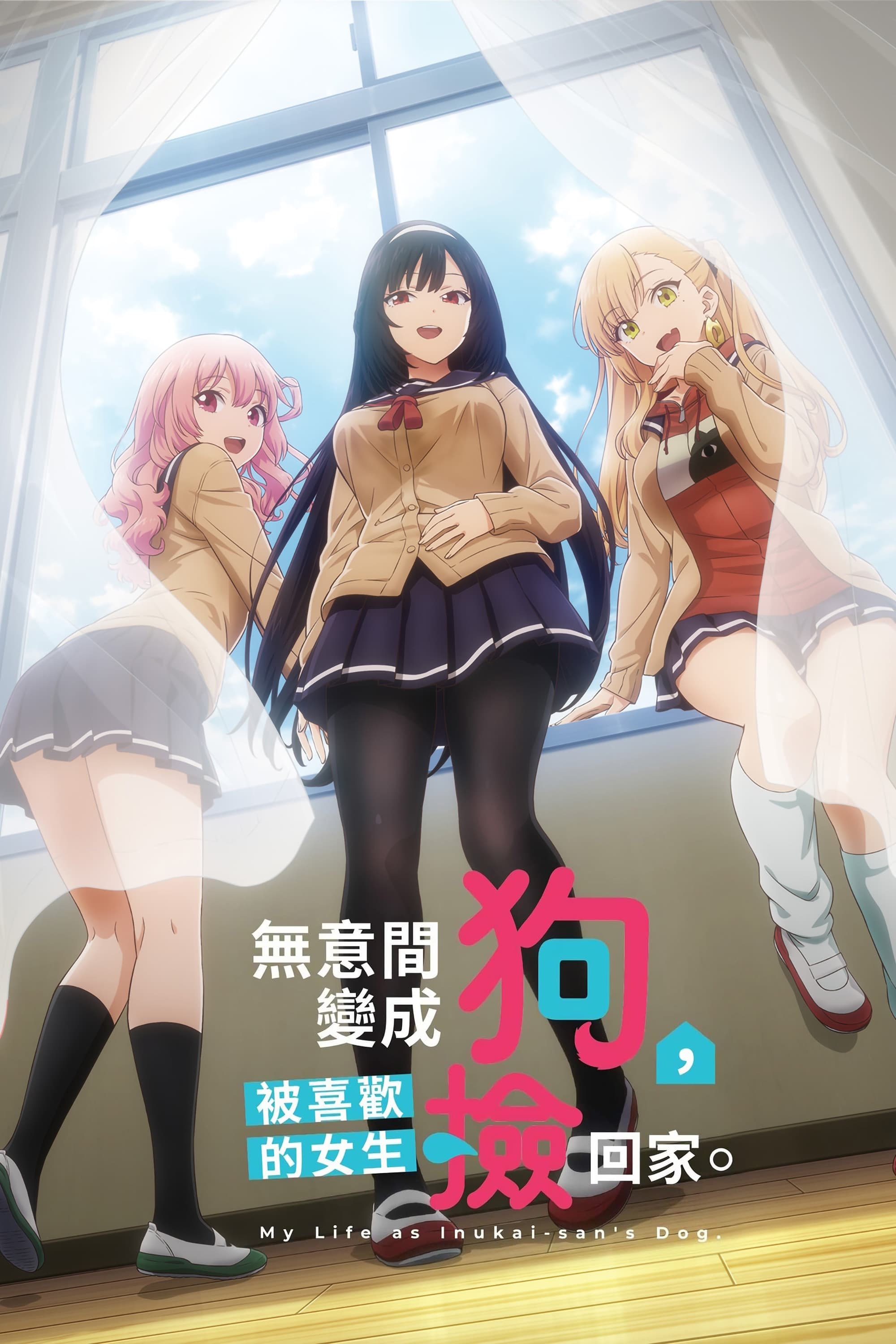 生而为狗 我很幸福