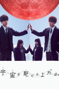 翱翔于天际的夜鹰